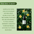 Havintha - Natural Face Serum For Glowing Skin - Vitamin A C E
